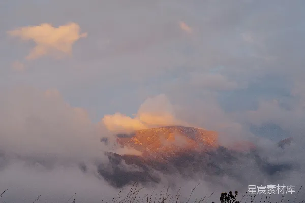 高清摄影 一片高草丛生的田野，背景是云层。