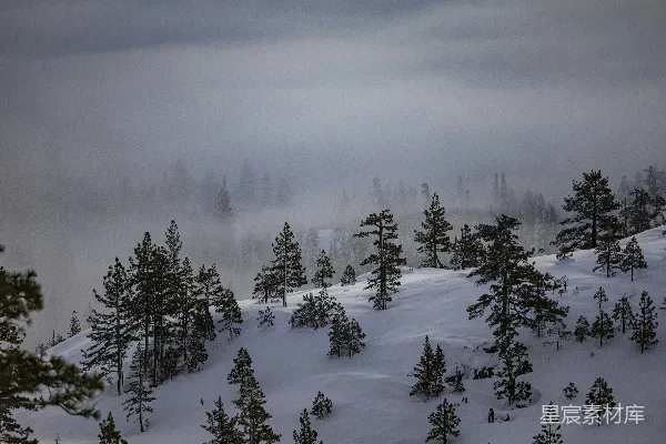 高清摄影 被雪覆盖的山峰，山上树木繁茂，雾气缭绕。