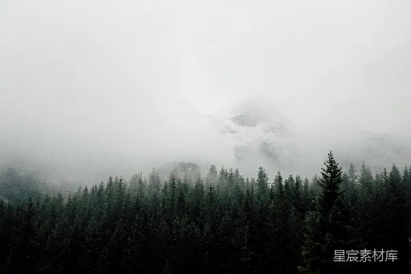 高清摄影 覆盖着山林的雾气