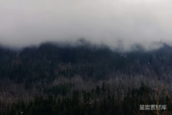 高清摄影 一座被雾气笼罩的山，前景中有树木。