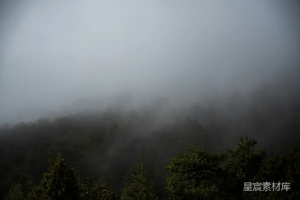 高清摄影 雾蒙蒙的山峰，前景中有树木