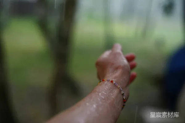 高清摄影 一只戴着手镯的手在森林中接住雨滴。