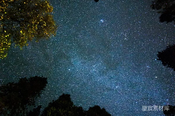 高清摄影 星星夜空下树木的俯视拍摄