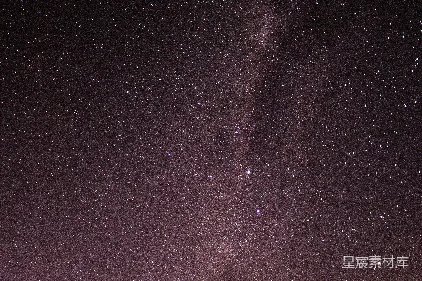 高清摄影 星夜下的树木剪影