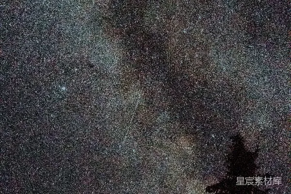 高清摄影 满天繁星下的绿树