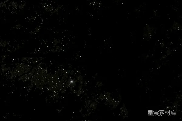 高清摄影 一张黑白照片，展现夜晚的天空。