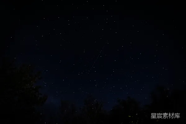 高清摄影 夜晚蓝天下的绿树