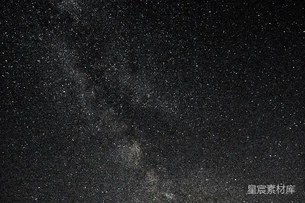 高清摄影 夜空中的星星和近处的树木