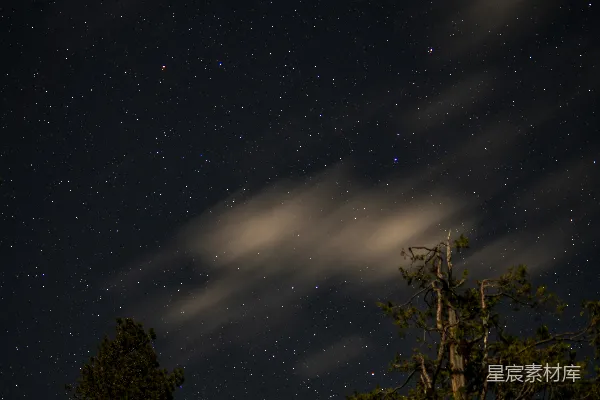高清摄影 星空繁星点点，云雾缭绕，树梢隐约可见。