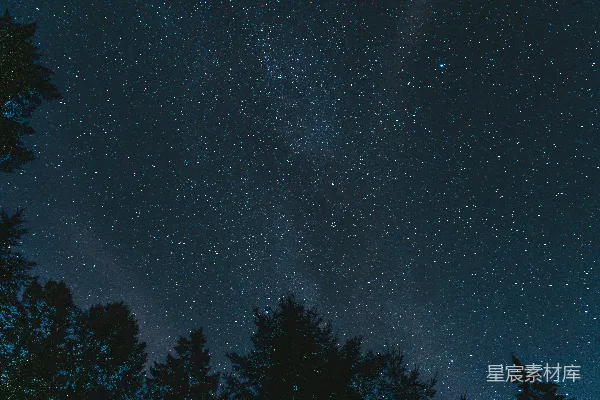 高清摄影 夜空布满了星星和树木。