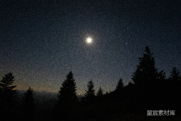 高清摄影 夜空中树木剪影