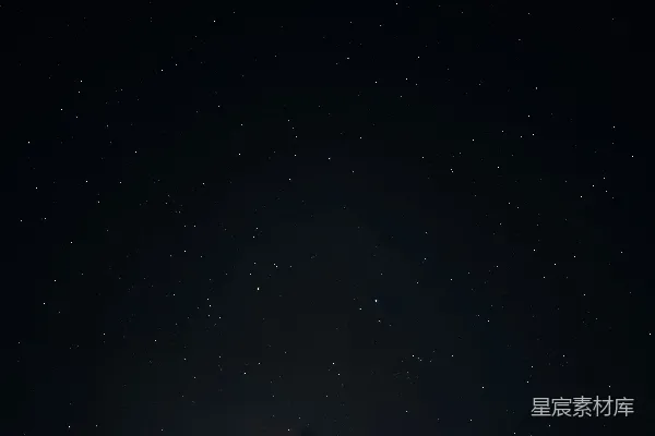 高清摄影 夜晚星空下棕榈树的剪影
