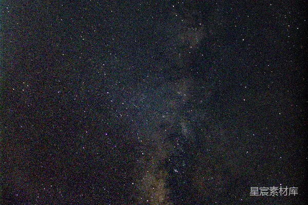 高清摄影 星空下的棕榈树