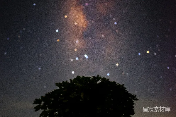 高清摄影 一棵树在田野中，背景是满天星斗的天空。