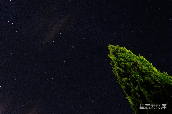 高清摄影 星空下的绿树
