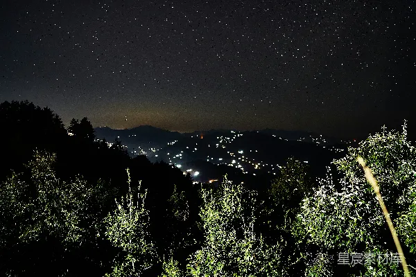 高清摄影 夜晚的绿树和山景