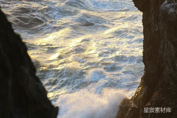 高清摄影 一只鸟坐在海洋附近的岩石上
