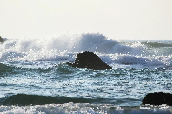 高清摄影 在海浪上骑冲浪板的人