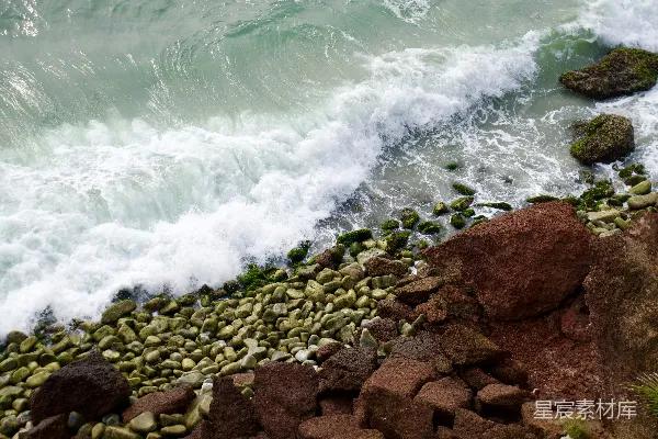 高清摄影 海浪拍打在岩石海岸上，海藻泡沫呈现出绿色。