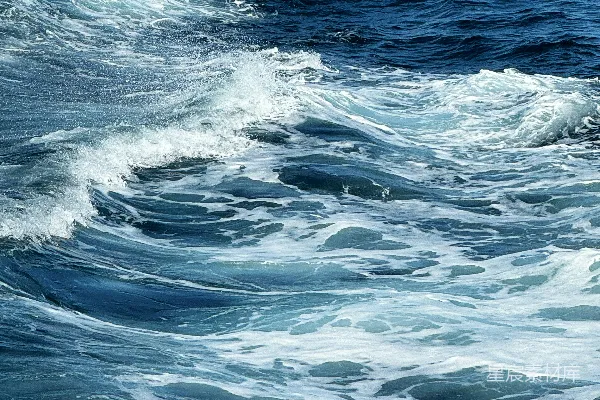 高清摄影 在海洋中乘着波浪骑着冲浪板的人