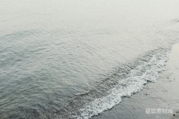 高清摄影 几个人沿着海边散步。