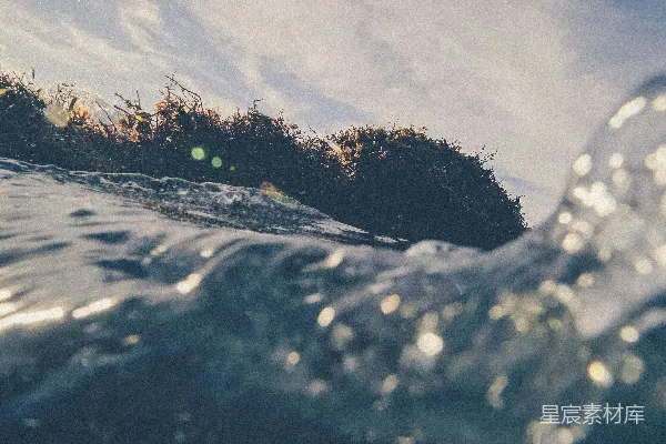 高清摄影 树木附近的水域（白天）