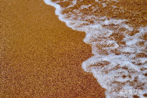 高清摄影 棕色沙滩上的白色海浪泡沫