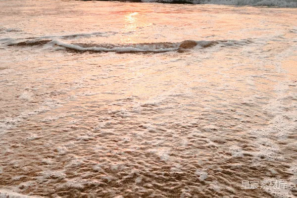 高清摄影 一个在水边的沙滩