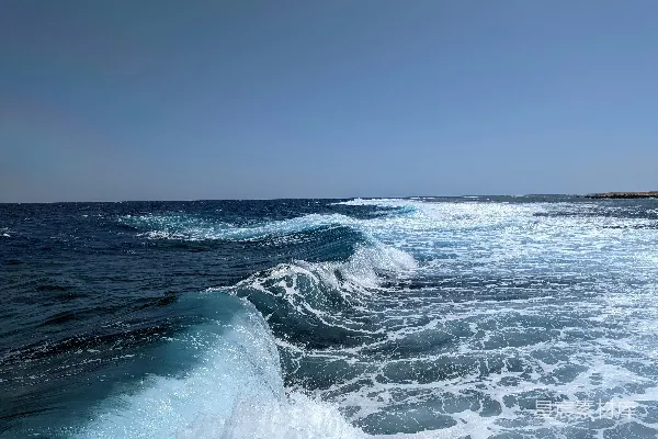 高清摄影 水面上的波浪