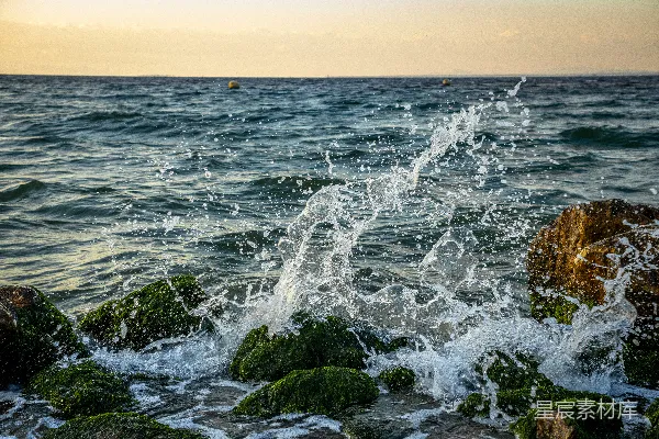 高清摄影 夕阳下，海浪拍打着苔藓覆盖的岩石。