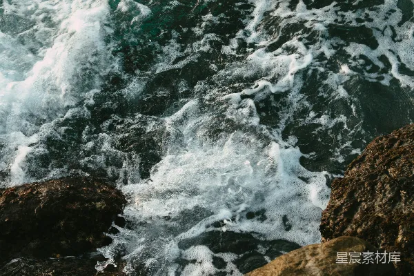 高清摄影 一只鸟坐在岩石上，岩石旁是海洋。