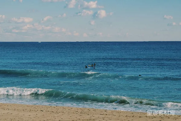 高清摄影 白天在海浪中冲浪的人