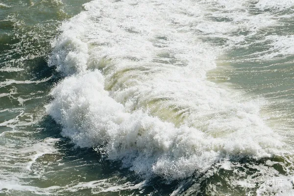 高清摄影 白天，海浪拍打着海岸。