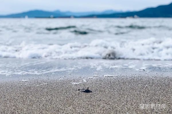 高清摄影 水域