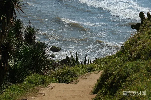 高清摄影 一条通往海滩的小路，可以看到海景。