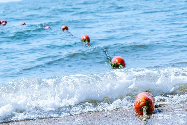 高清摄影 海滩上一排漂浮在水中的浮标