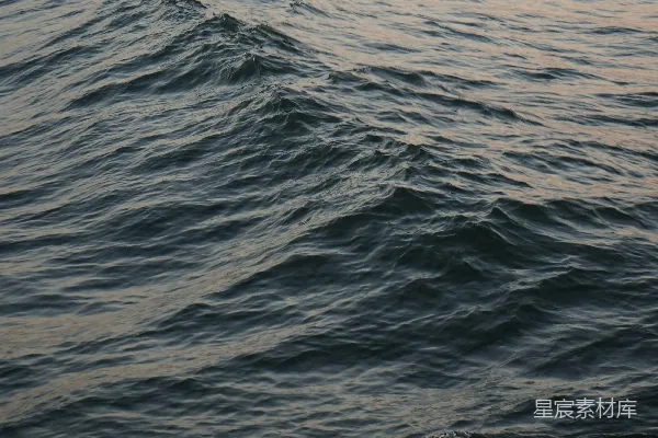高清摄影 水面上的波浪