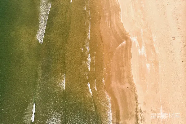 高清摄影 一张海滩的特写照片