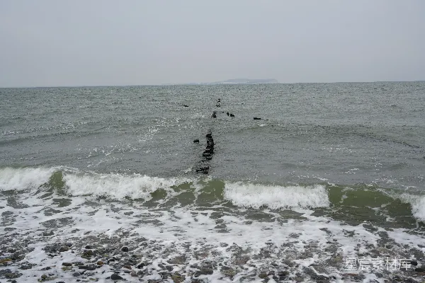 高清摄影 海浪拍打着岩石海岸，木桩立在岸边。