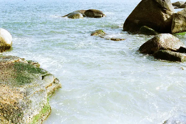高清摄影 海浪轻轻拍打着岸边青苔覆盖的岩石。