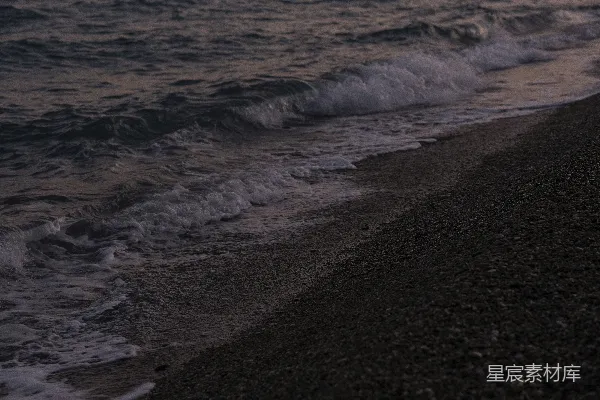 高清摄影 一只鸟站在海滩上，靠近海洋。