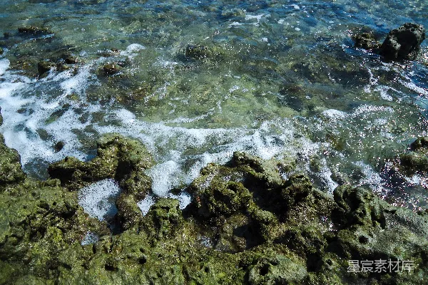 高清摄影 波浪轻轻地拍打着布满青苔的岩石海岸。