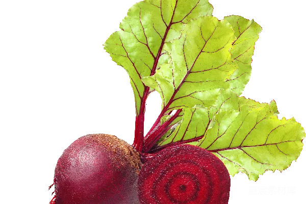 元素素材 新鲜甜菜根