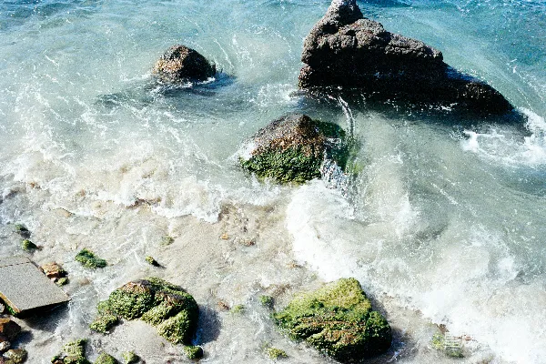 高清摄影 海浪拍打着岩石海岸，上面覆盖着绿色的地衣。