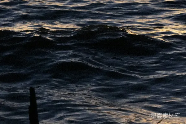 高清摄影 夕阳下，一只鸟飞过水面。