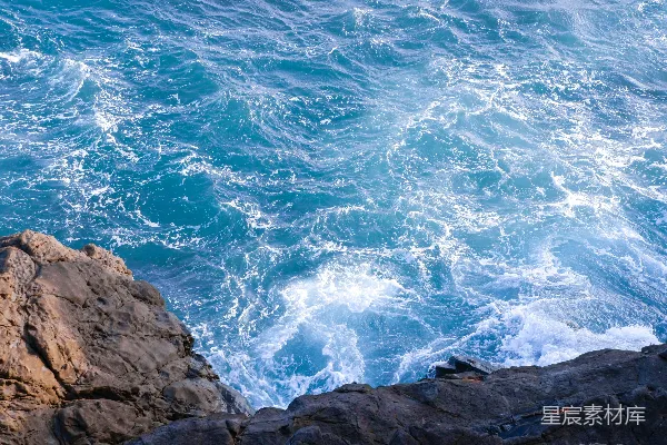 高清摄影 一只鸟停在靠近海洋的岩石上。