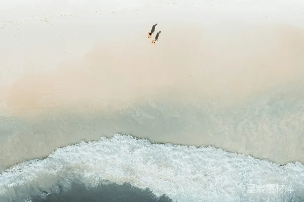 高清摄影 一只鸟在海洋上的大浪上方飞行。