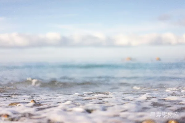 高清摄影 对焦于水泡沫的特写照片