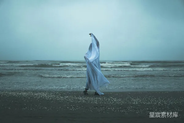 高清摄影 海滩上的一只白鸟