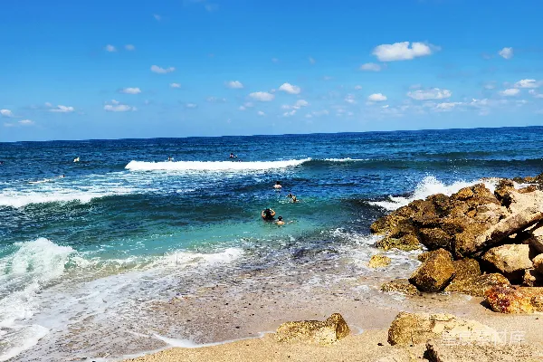 高清摄影 人们在靠近岩石海岸的海域冲浪。